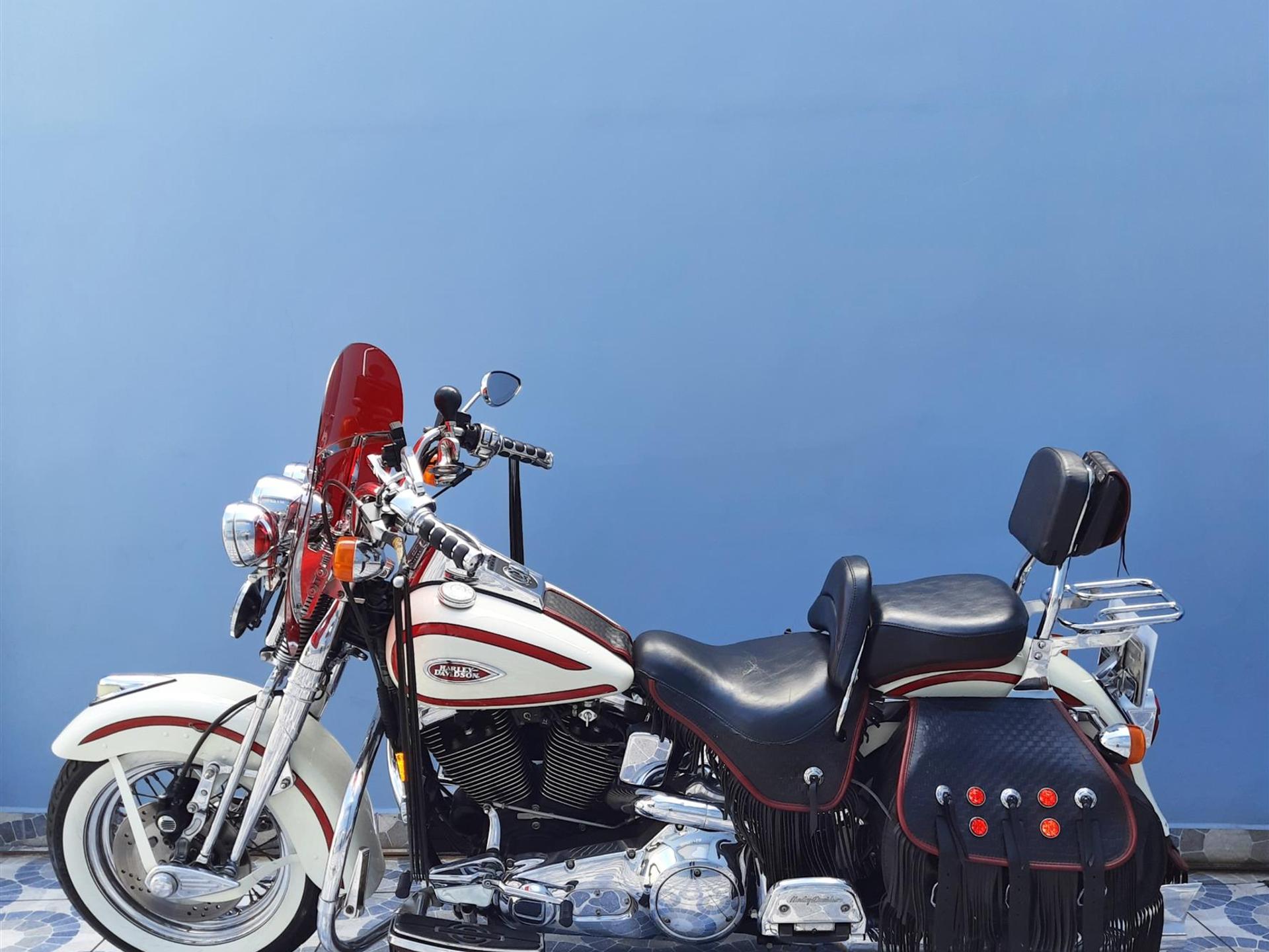 HARLEY DAVIDSON - Softail Springer